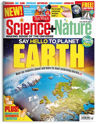 Science+Nature magazine cover