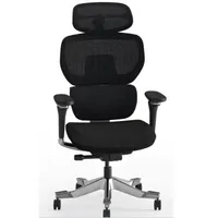 FlexiSpot C7 Morpher Ergonomic Chair FlexiSpot C7 Morpher Ergonomic Chair