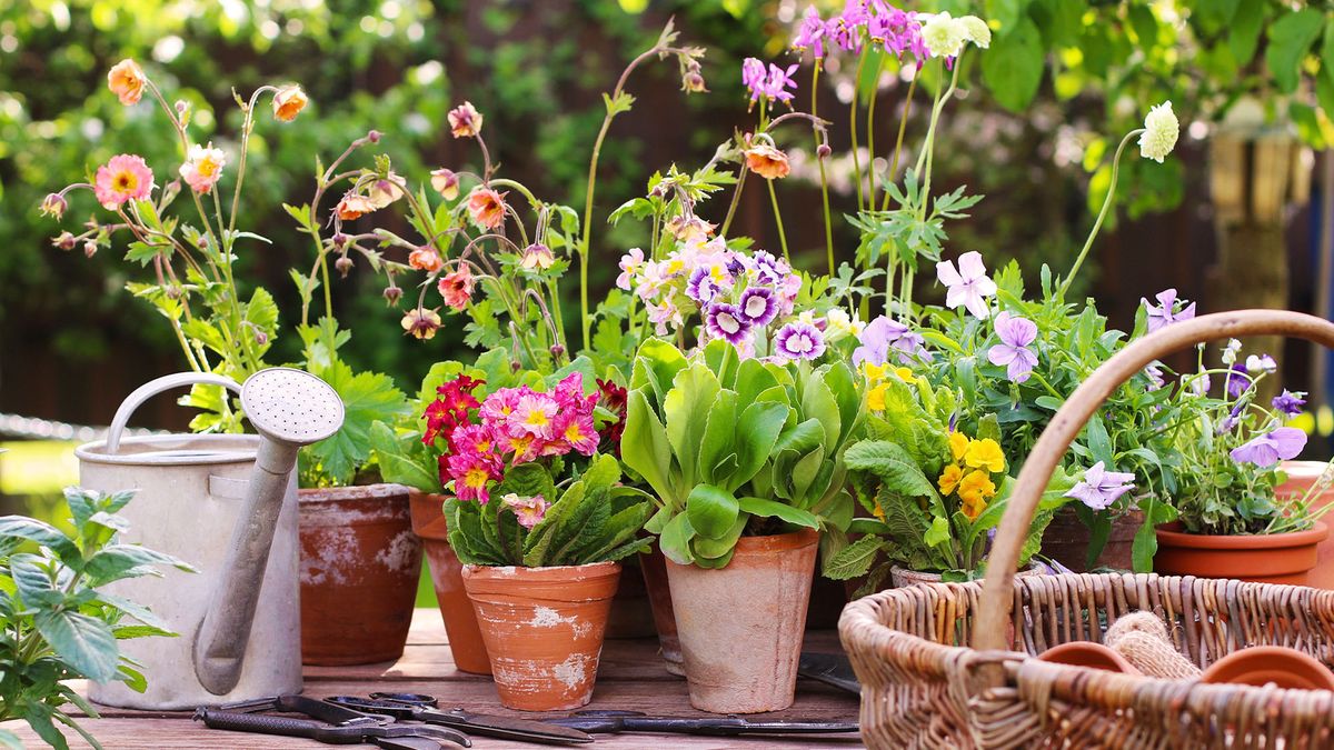 The April Edition: Your Month in the Garden