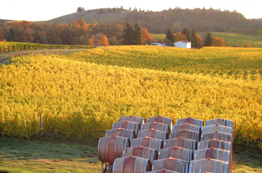 2021 Willamette Valley Chardonnay