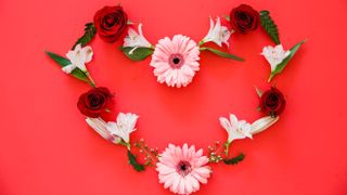 1-800 Flowers is offering up to 60% off flowers, right on time for Valentine's Day