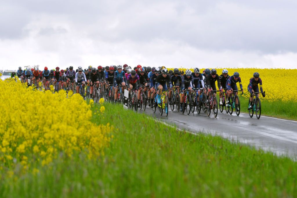 SCHLEIZ GERMANY MAY 27 The peloton passing through flowery landscape during the 34th Internationale LOTTO Thringen Ladies Tour 2021 Stage 3 a 1165km stage from Schleiz to Schleiz Rain ltlt2021 lottothueringenladiestour womencycling on May 27 2021 in Schleiz Germany Photo by Luc ClaessenGetty Images