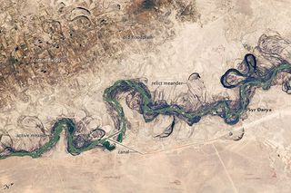 syr-darya-flood-plain-101102-02