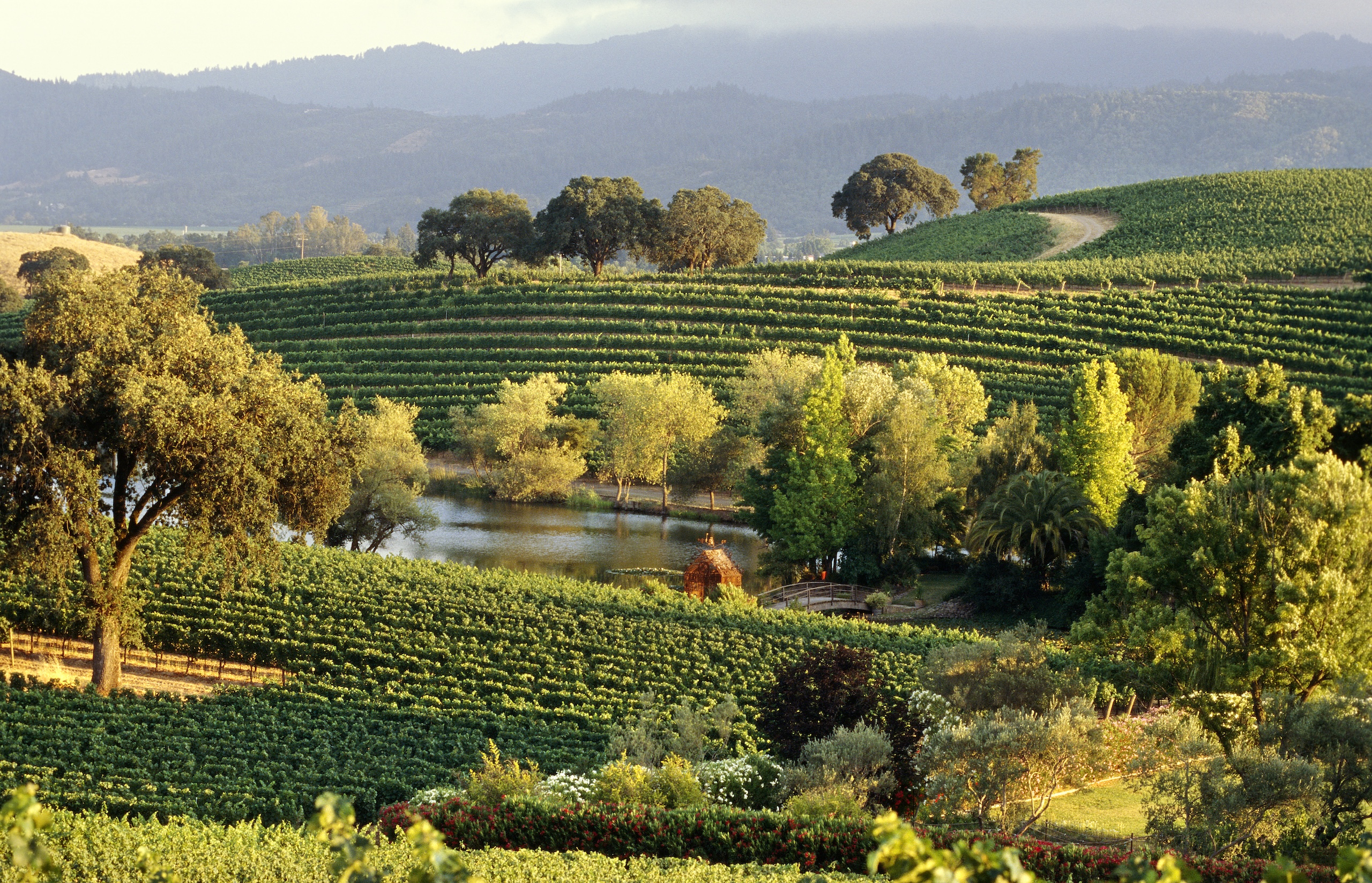 Scenic view of the lush, biodynamically farmed Quintessa estate with grapevines, trees and a small lake