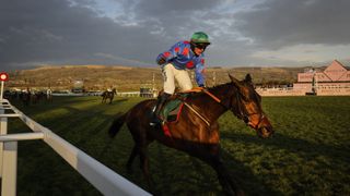 Danny Gilligan riding Wodhooh, winning the final race of the meeting, the Martin Pipe Conditional Jockeys Handicap Hurdle during racing on day four of the Cheltenham National Hunt jump racing festival at Cheltenham Racecourse 