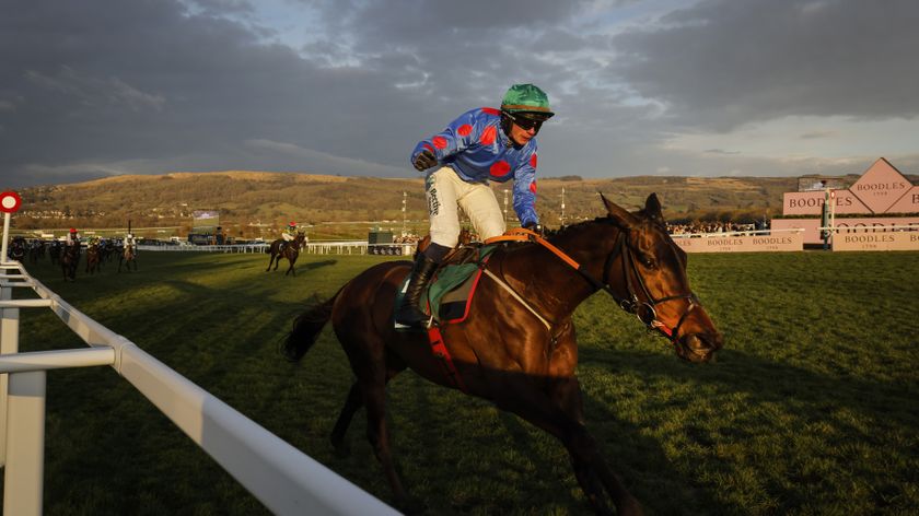 Danny Gilligan riding Wodhooh, winning the final race of the meeting, the Martin Pipe Conditional Jockeys Handicap Hurdle during racing on day four of the Cheltenham National Hunt jump racing festival at Cheltenham Racecourse 