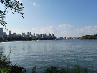 Samsung Galaxy Note 20 Ultra camera roll