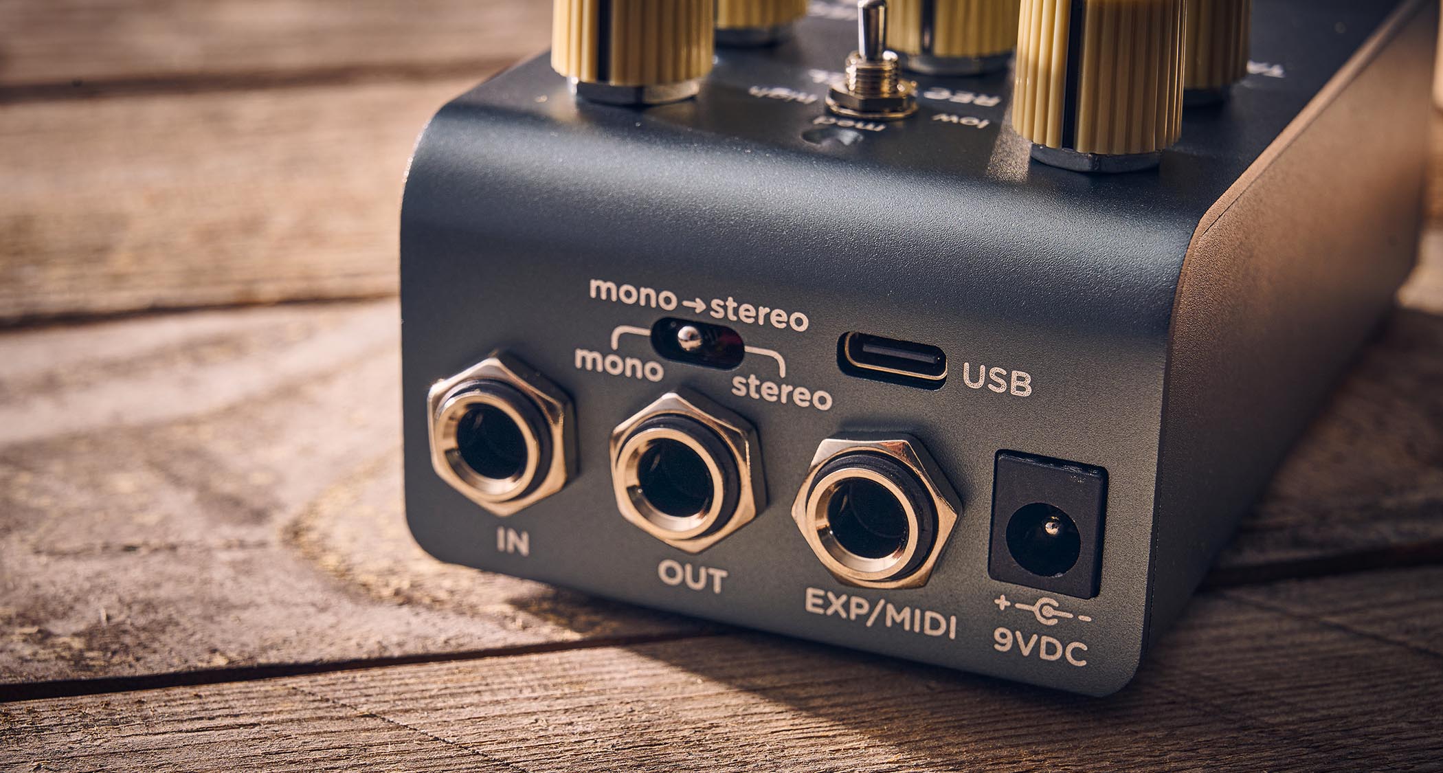 Strymon EC-1 Single Head dTape Echo: the metallic gray box has cream dials, an LED that lights up blue and/or red, and is photographed here against a wooden background.