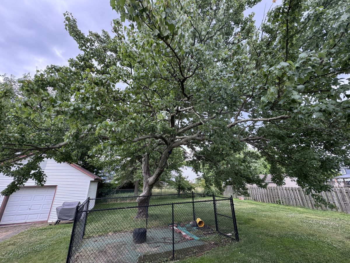 Apple iPhone 15 Pro ultrawide sample.