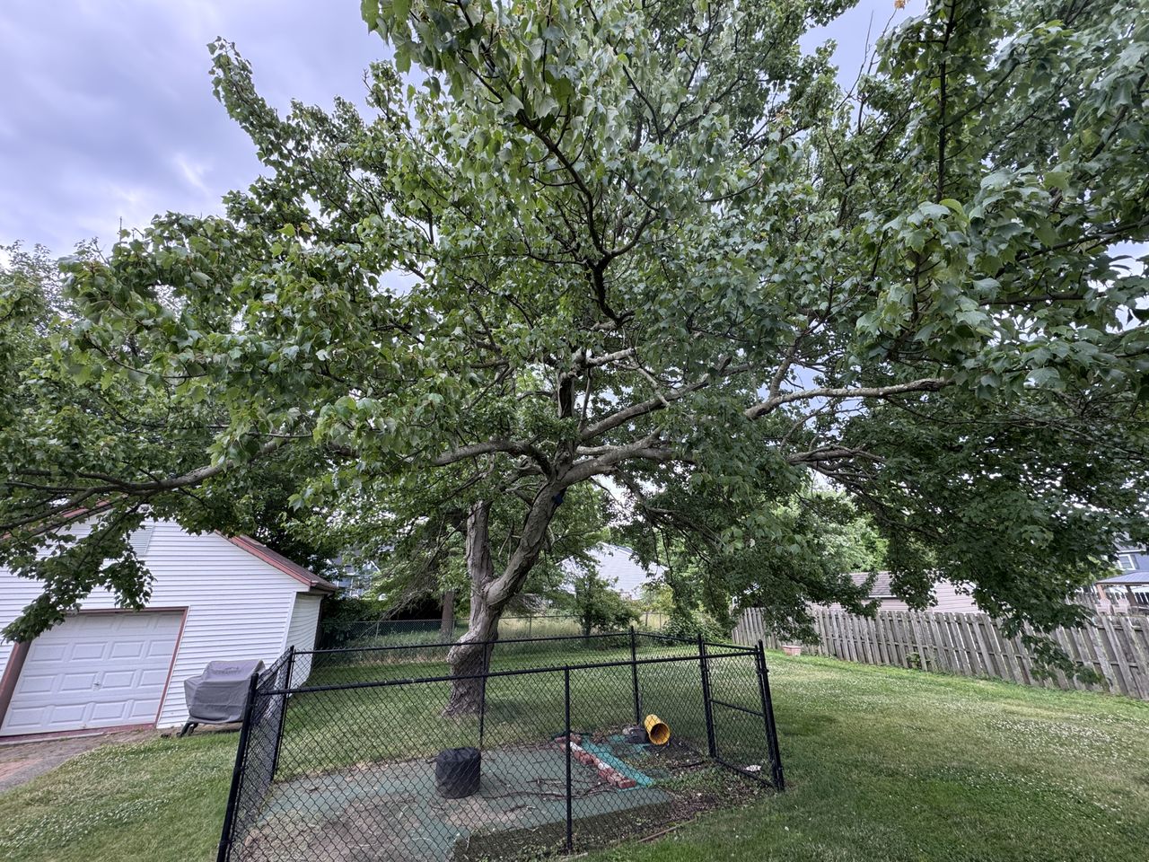 Apple iPhone 15 Pro ultrawide sample.