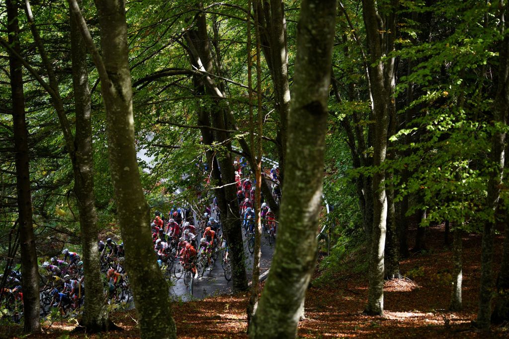 ROCCARASO ITALY OCTOBER 11 Peloton Forest Landscape Detail view during the 103rd Giro dItalia 2020 Stage 9 a 207km stage from San Salvo to Roccaraso Aremogna 1658m girodiitalia Giro on October 11 2020 in Roccaraso Italy Photo by Tim de WaeleGetty Images