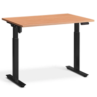 Friska  AKTIV 1 Single Motor Standing Desk