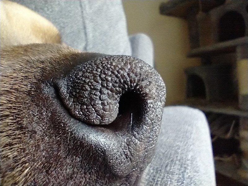 Moto G Power Camera Sample