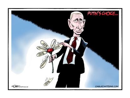 Putin's difficult choice