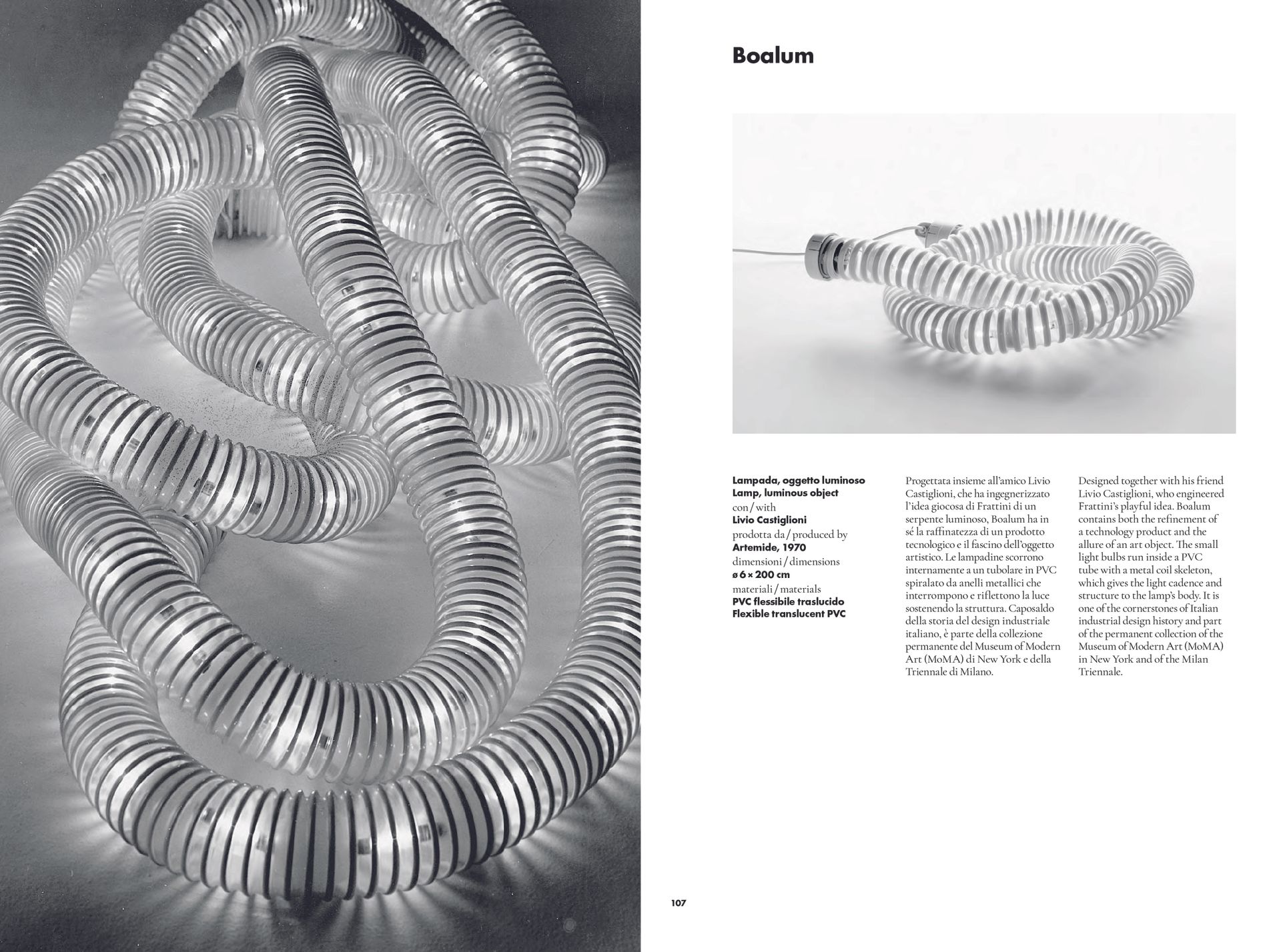 Gianfranco Frattini book