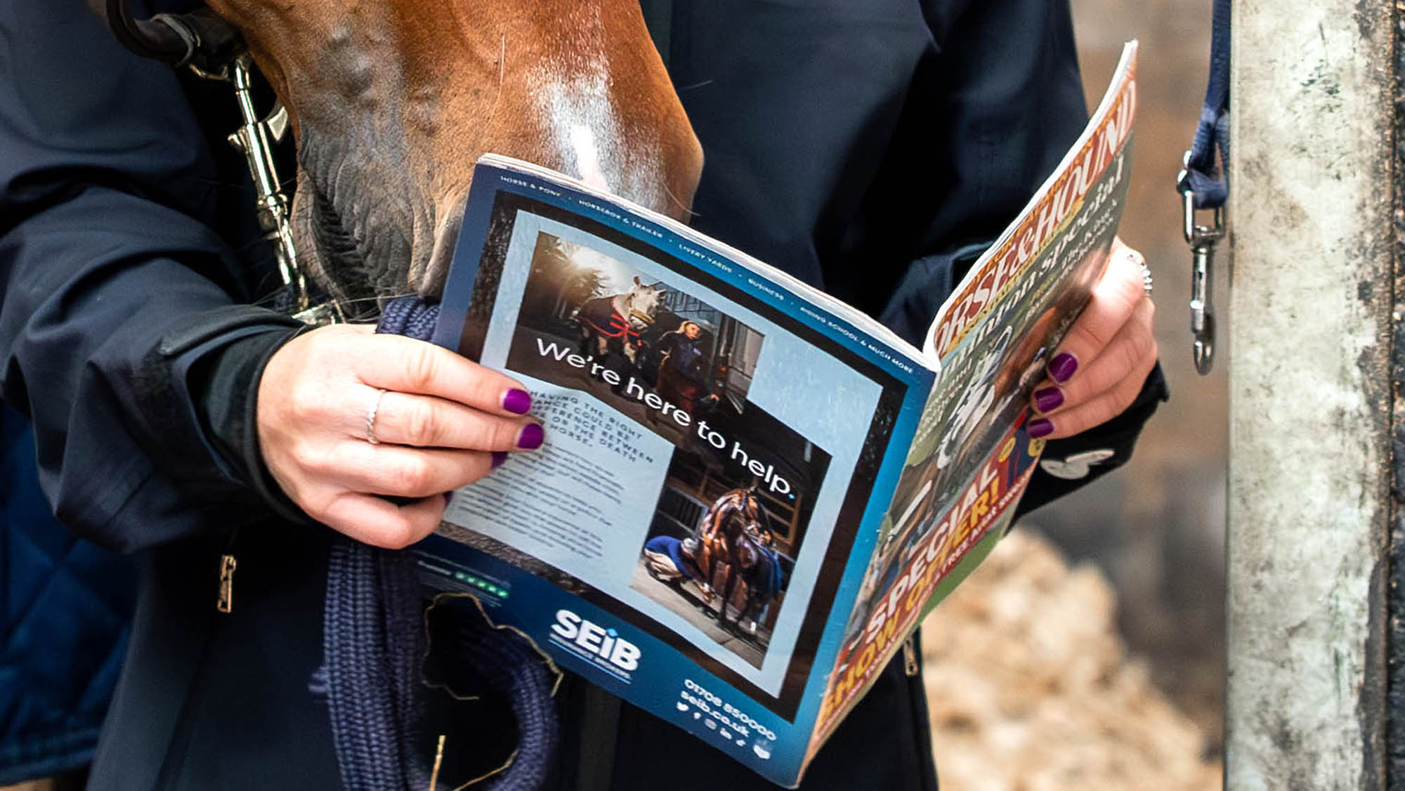 A rider reading Horse &amp; Hound magazine at the stables with her horse