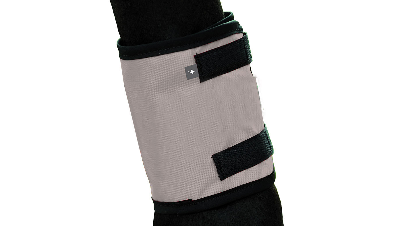 Hy Silva Flash reflective leg band hi viz for horses