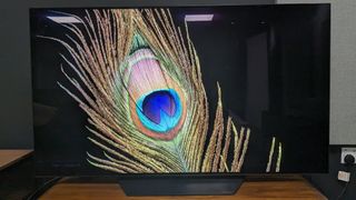 LG B3 TV med en påfuglfjær som vises på skjermen.