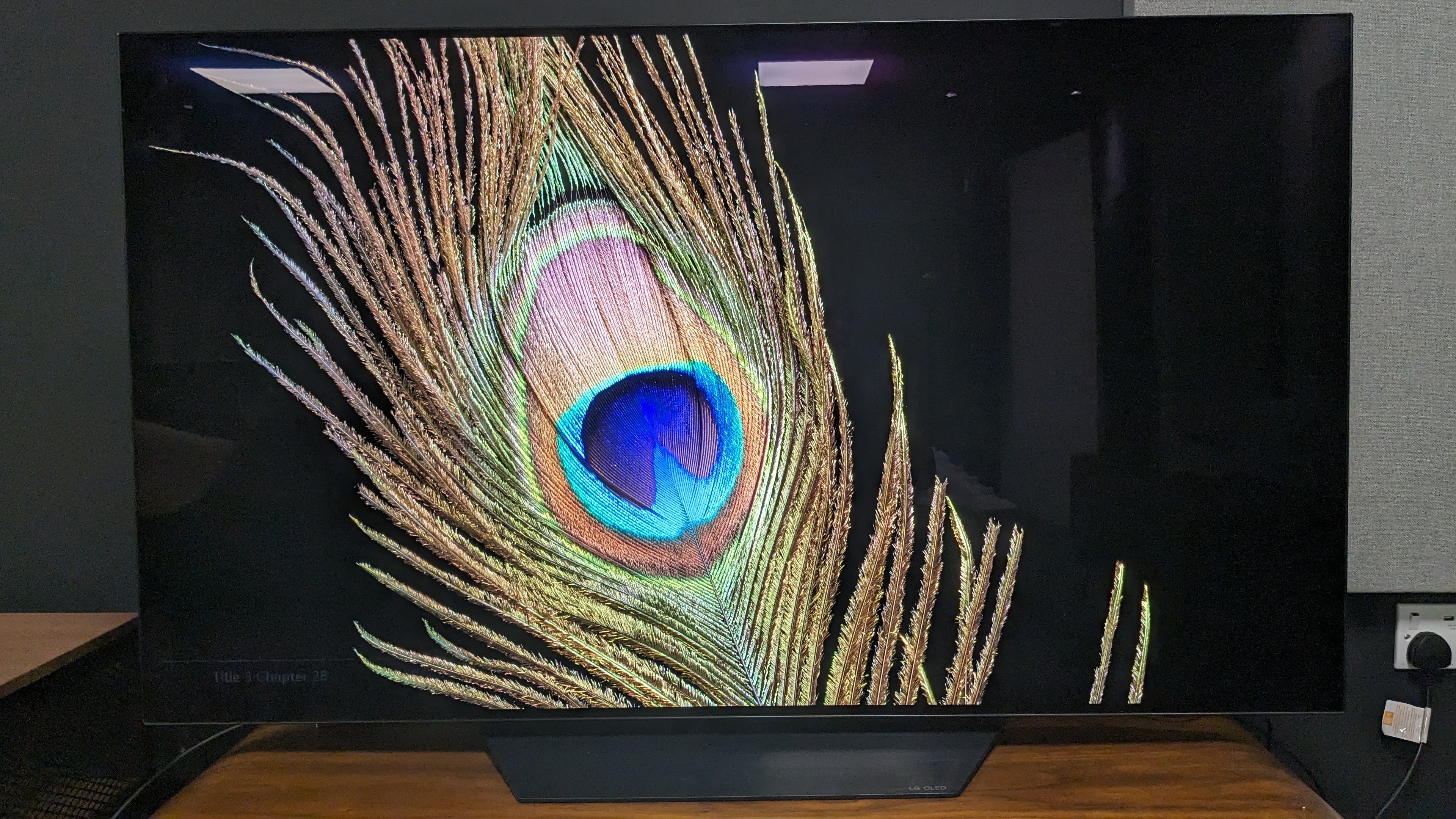 Televisor LG B3 que muestra una pluma de pavo real en la pantalla