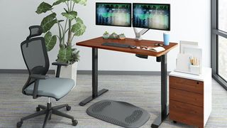 FlexiSpot EN1B in an office space with dual monitors, and a file cabinet next to it