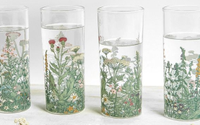Wildflower Print Glass - Set of 4 | Was £18 now £8 | Save £10