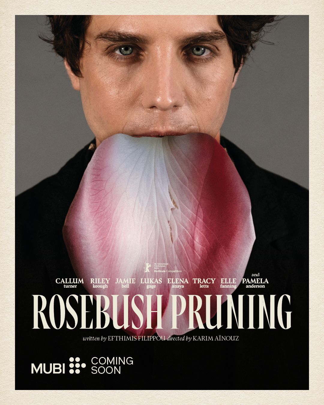 Rosebush Pruning posters.