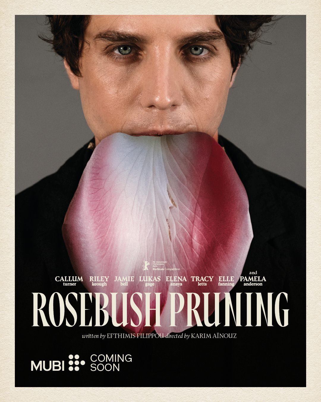 Rosebush Pruning posters.
