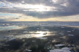 Sea ice in the Chukchi Sea, on July 20, 2011. A new observatory in Canada's Nunavut province will help measure sea ice from underneath, as well as measure water temperature and other variables. 