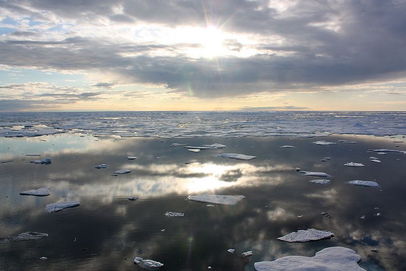 Sea ice in the Chukchi Sea, on July 20, 2011. A new observatory in Canada&#039;s Nunavut province will help measure sea ice from underneath, as well as measure water temperature and other variables. 