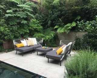 small courtyard garden with terrace seating area and evergreen planting
