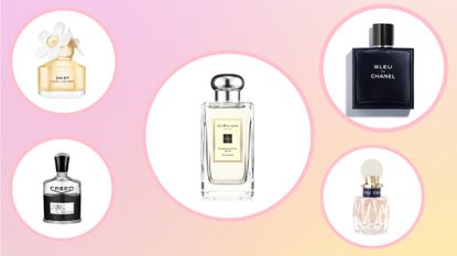 Collage of some of the most complimented fragrances including Marc Jacobs, Creed, Jo Malone, Chanel, and Miu Miu