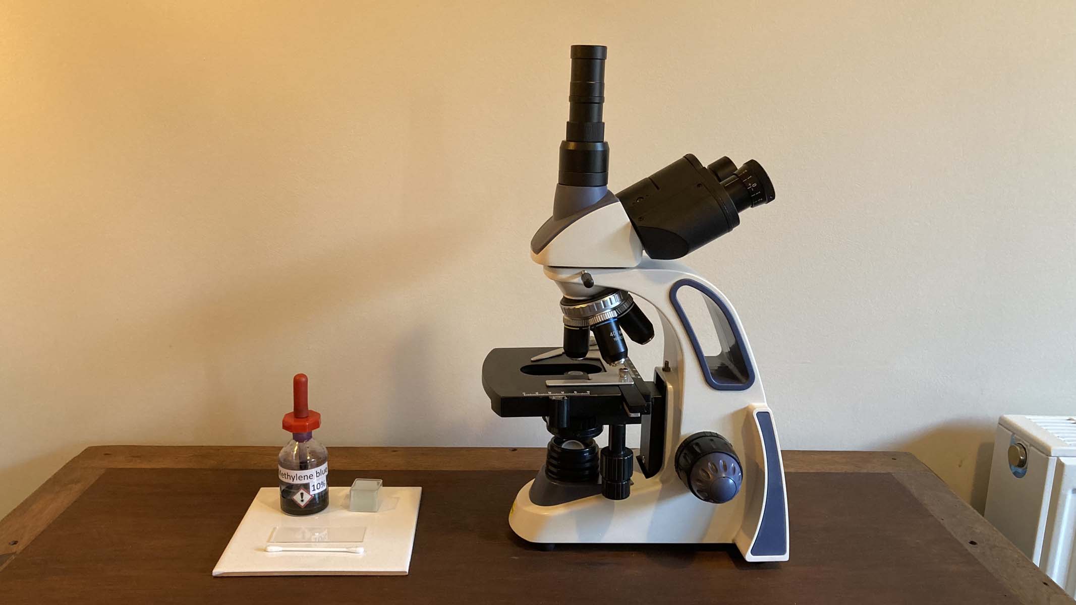 cheek swab next to a microscope