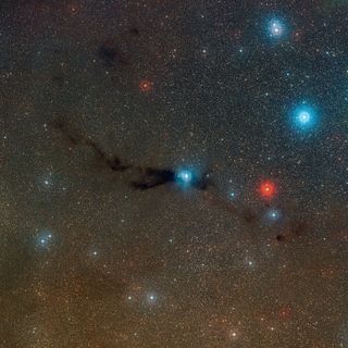 This wide-field view shows a dark cloud where new stars are forming along with cluster of brilliant stars that have already burst out of their dusty stellar nursery. This cloud is known as Lupus 3 and it lies about 600 light-years from Earth in the constellation of Scorpius.