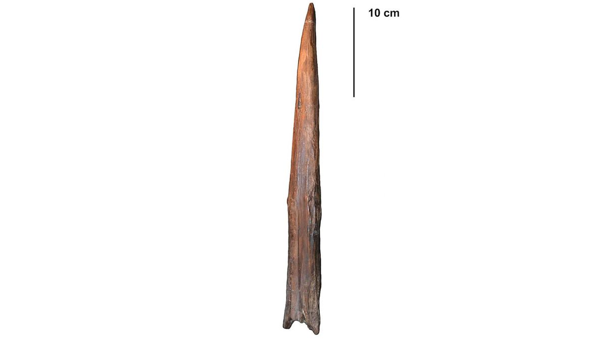 What's the oldest weapon in the world?