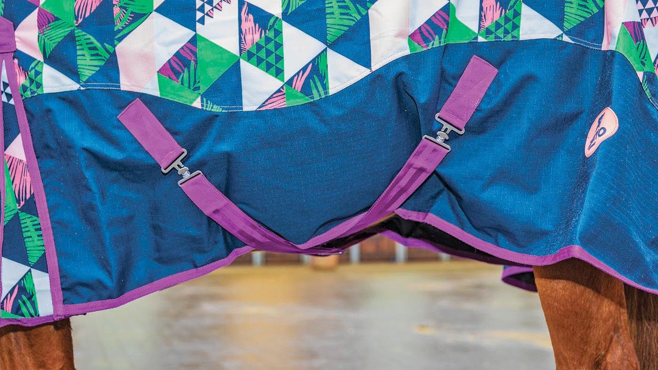 Ponyo 100g turnout rug review