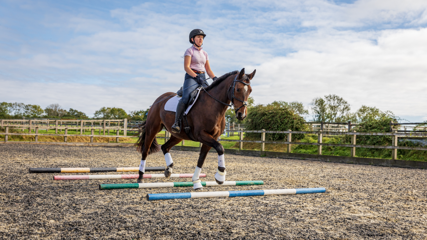 A horse trotting over poles