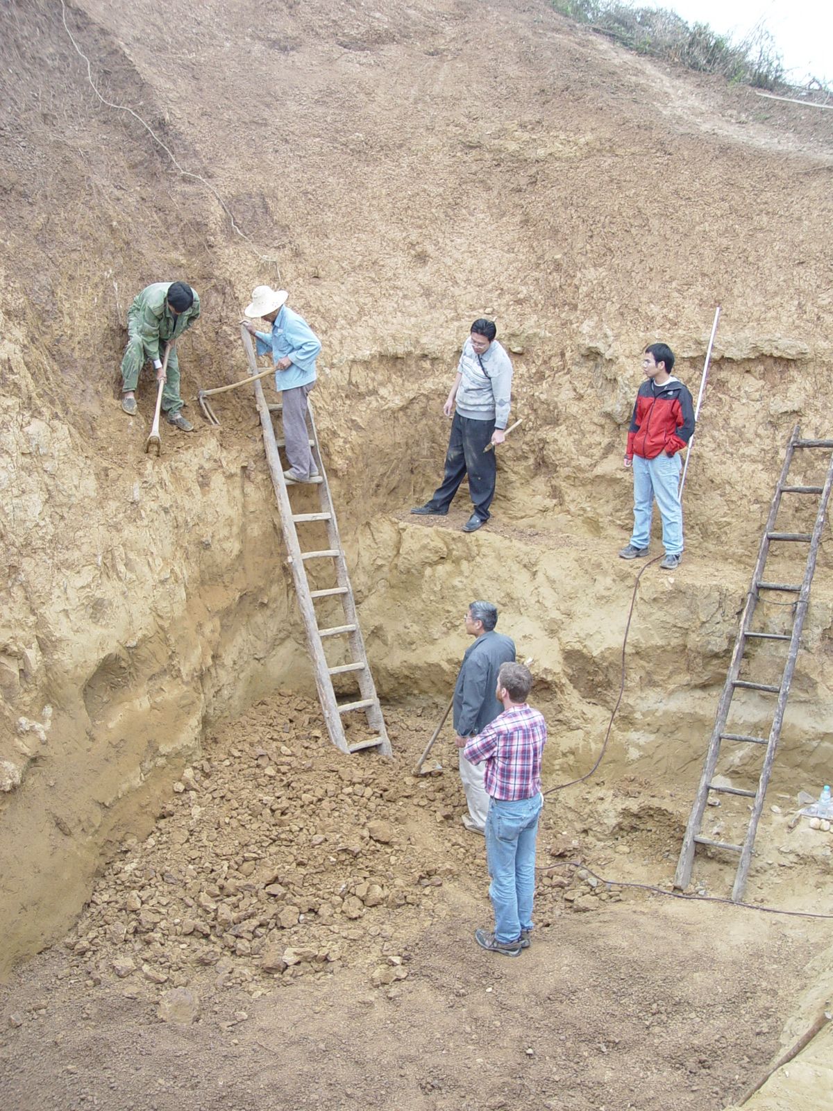 'Absolute surprise': Homo erectus skulls found in China are almost 1.8 ...