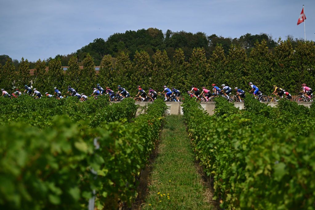 NYON SWITZERLAND SEPTEMBER 17 A general view of the peloton passing through a vineyards landscape during the 2nd Tour de Romandie Feminin 2023 Stage 3 a 1108km stage from Vernier to Nyon UCIWWT on September 17 2023 in Nyon Switzerland Photo by Dario BelingheriGetty Images