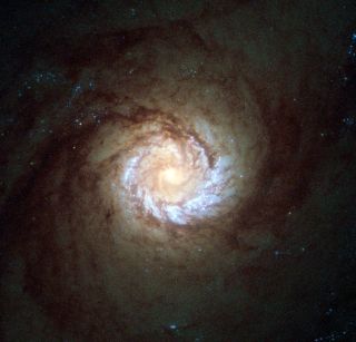 Spiral Galaxy Messier 61