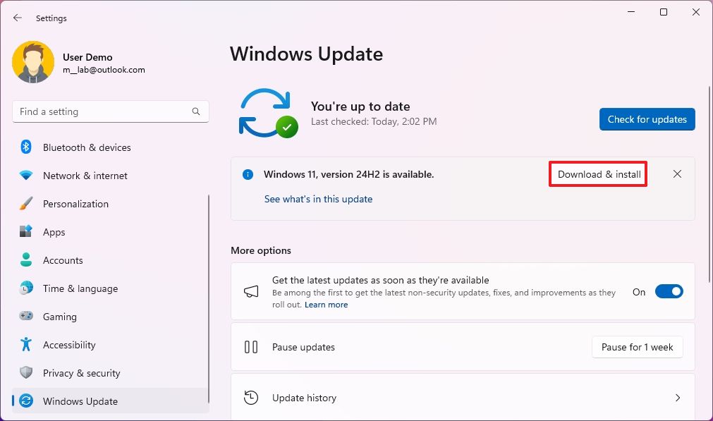 Vista previa de la descarga de la actualización de Windows 11 2024