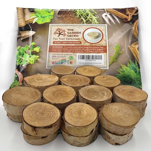 The Garden Gecko Birch Wood Plant Pot Feet &amp;ndash; Natural Wood Risers for Improved Drainage &amp;amp; Airflow | Rustic Look &amp;amp; Durable Design | Weather-Coated | 24 Pack | Birch Wood Edition