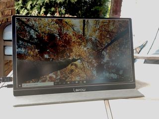 Lepow monitor