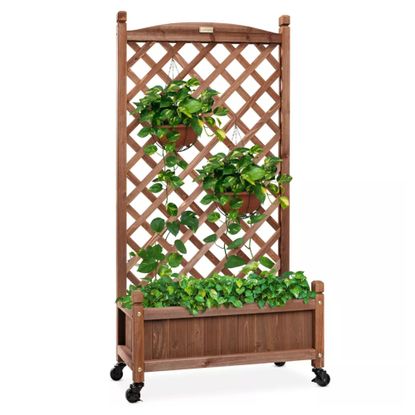 Try a planter box with trellis to increase backyard privacy