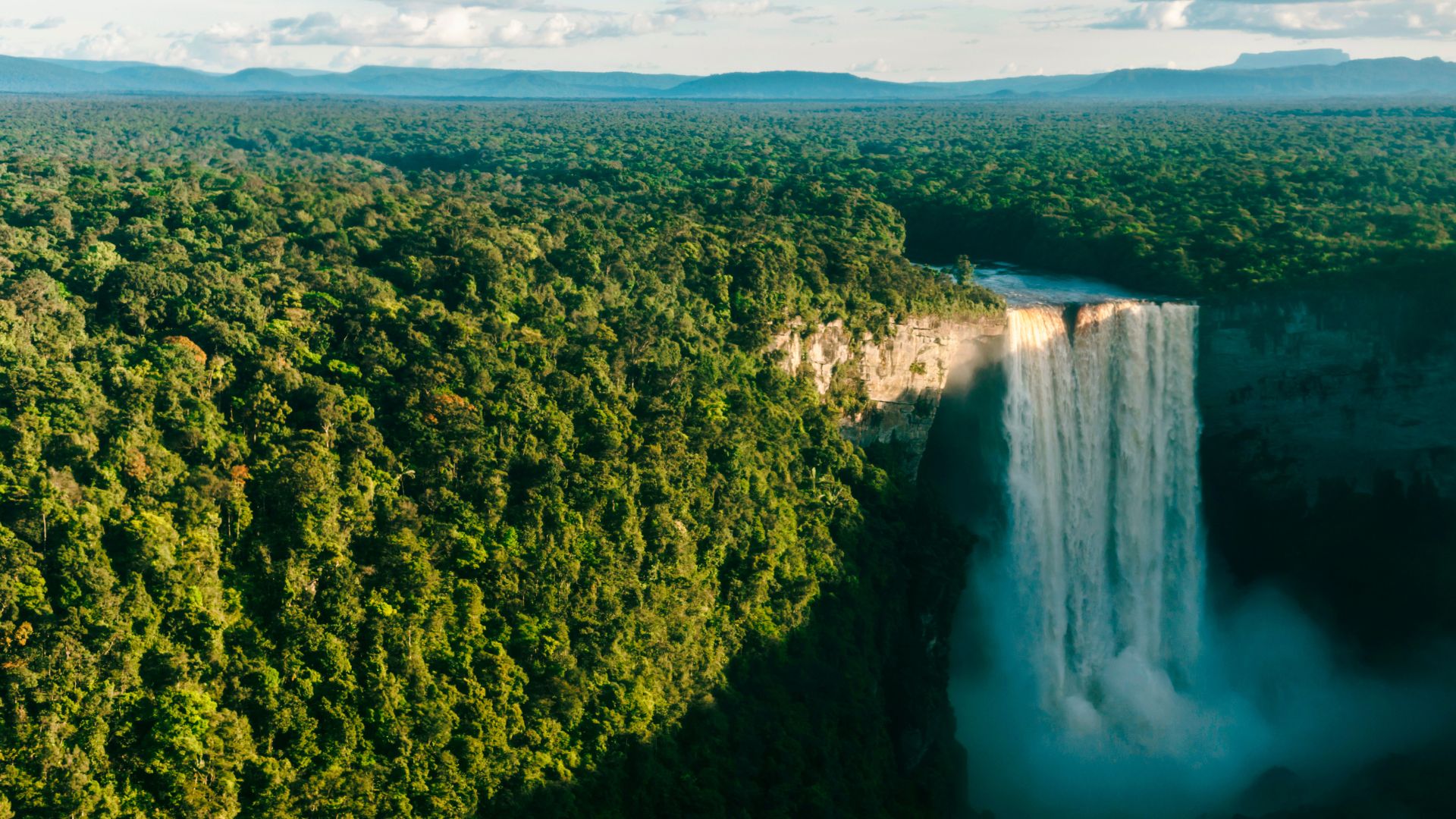 jungle waterfall
