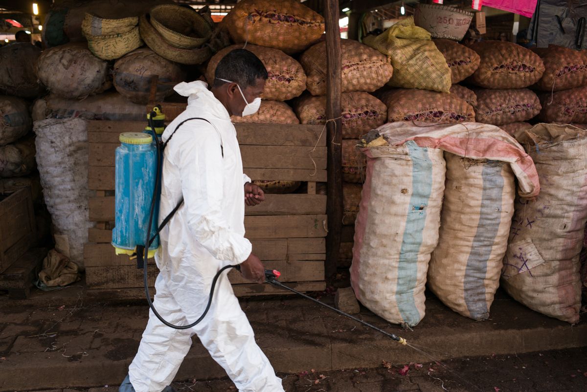 How The Plague Outbreak In Madagascar Got So Bad, So Fast | Live Science