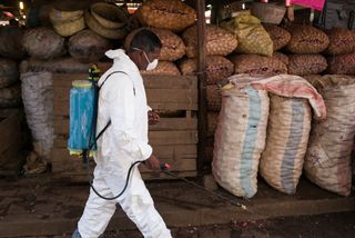 madagascar, plague, Antananarivo