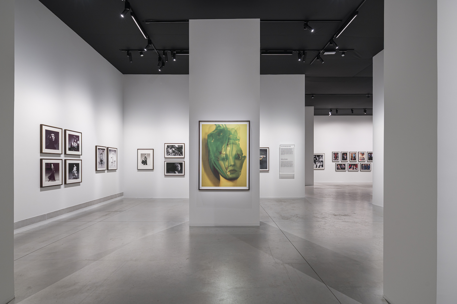 Exhibition View David Bailey's Changing Fashion Retrospective MOP Foundation Spain
