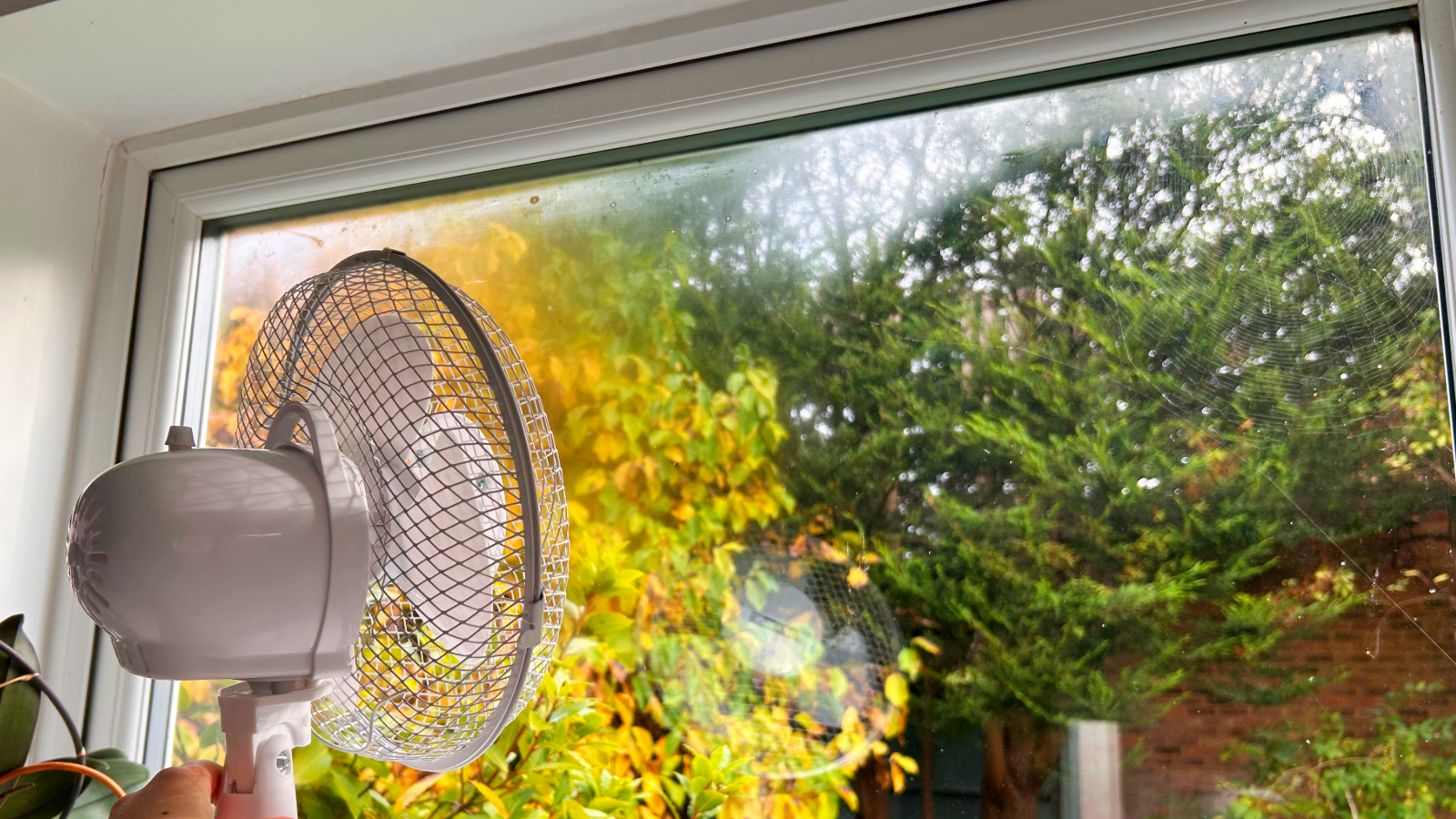 Cooling fan held up to a window with condensation, overlooking a garden with trees