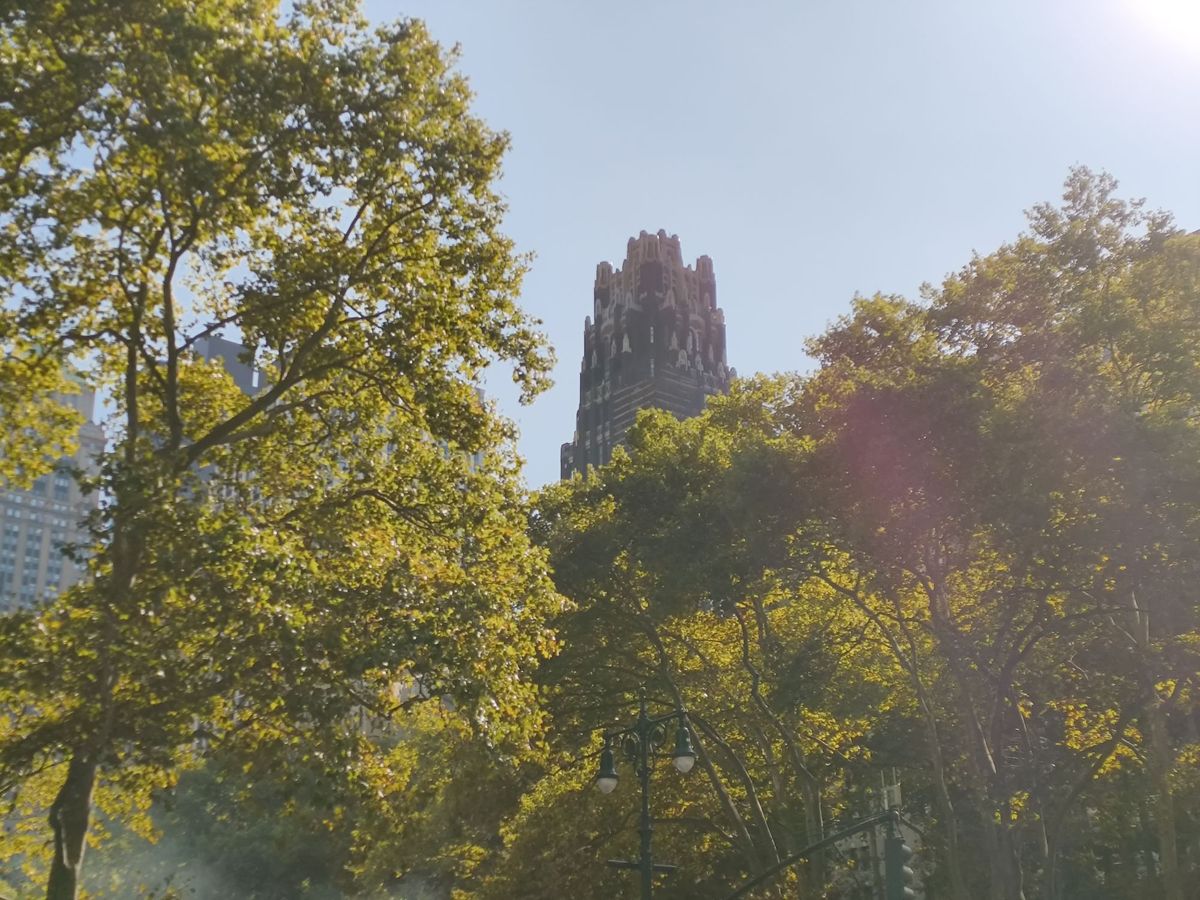 CMF Phone 1 camera sample.