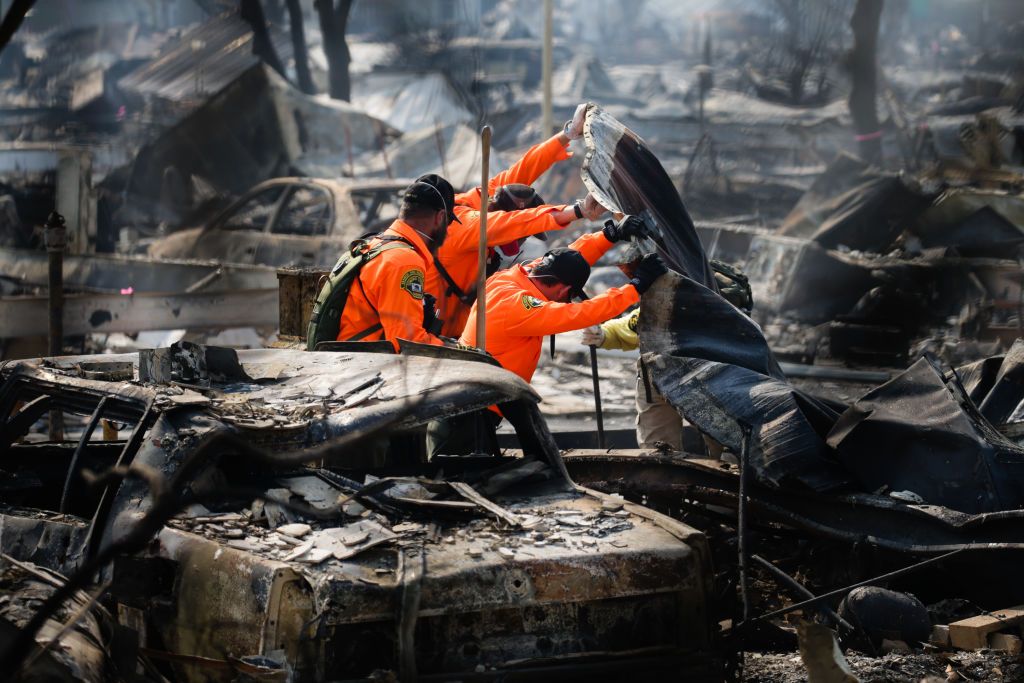 Wildfire damage in California